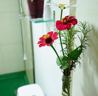 Gravatal House | Recanto EmmAnnEssência