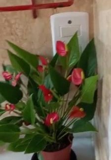 Biscaia House | Recanto J&R