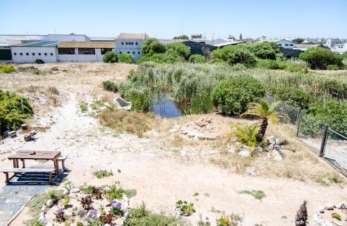 Langebaan Apartment | Red Bishop - Birds, Beach & Beauty