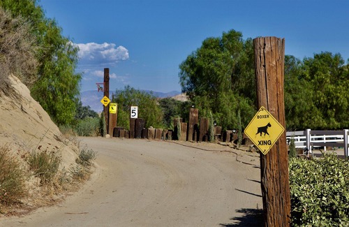 Val Verde House | Red Rock Riding Ranch House #2