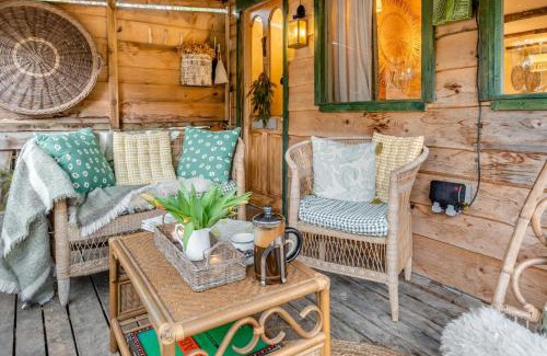 Brading House | Red Squirrel Batch