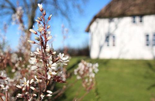 Poppenbull House | Reetdachhaus-Poppenbüll
