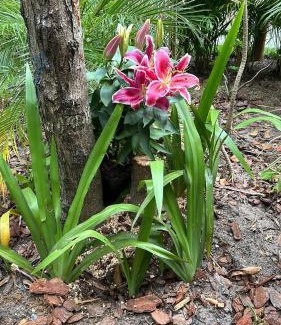 Castelo da Torre Villa | Refúgio com Pé na Areia