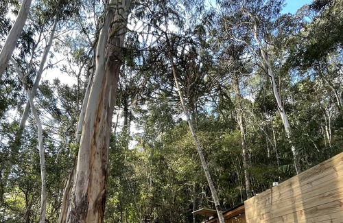 Urubici Cabin | Refúgio da Neblina