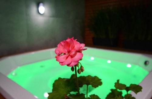 Campeche Sul House | Refúgio dos Corais - Campeche - Floripa