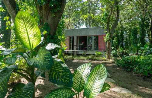 Sabaneta de Yasica Other | REFUGIO Sabaneta de Yasica