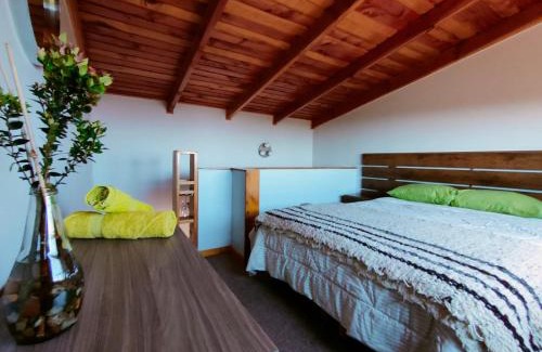 Valdivia Apartment | Refugio Trafwe