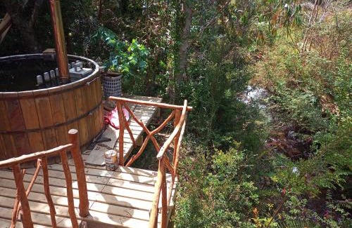 Valdivia Other | Refugio y Tinaja Curiñanco