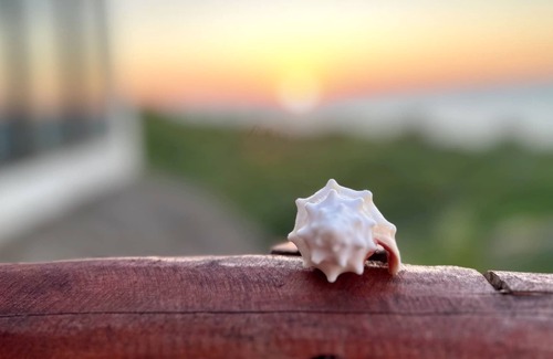 Sisal Apartment | Relax and connect w/nature on this private beachfront studio with great sunsets.