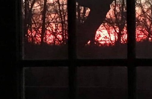 Cuba Cabin | Relax in the Ozark woods at a quiet nature retreat with a private walking trail.