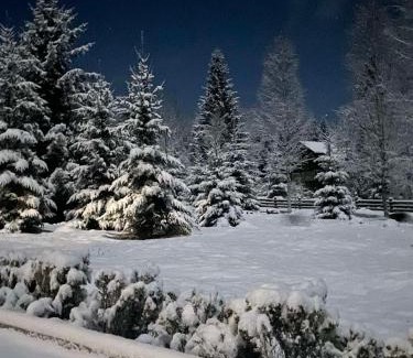 Manyava Ski Chalet | Relaxation in Guta Гута покращене шале