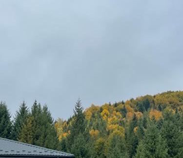 Manyava Ski Chalet | Relaxation in Guta Гута покращене шале