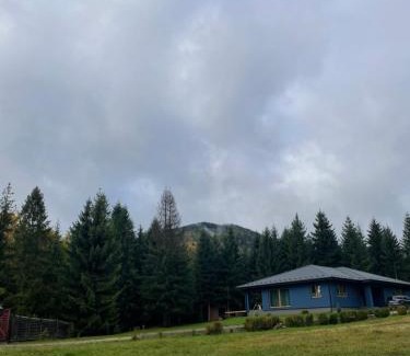 Manyava Ski Chalet | Relaxation in Guta Гута покращене шале