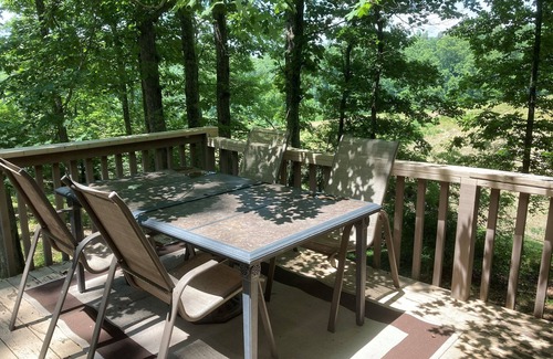 Vulcan Cabin | Relaxing 3B Log Home-15 min walk to the Black River!