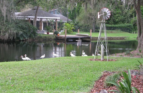Lutz House | Relaxing waterfront haven. Near Moffett cancer center.