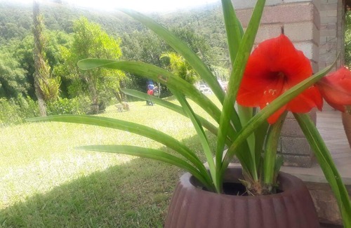 Bom Jardim de Minas Other | Relva Molhada - Bom Jardim de Minas