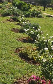 Soshanguve House | Remi's B & B and SPA