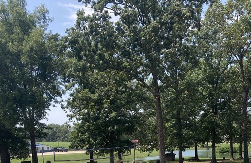 Wappapello Cabin | Remodeled 2 queen room w/high speed internet