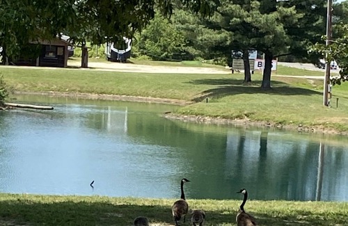 Wappapello Cabin | Remodeled 2 queen room w/high speed internet