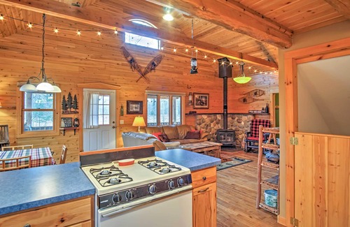 Pentwater Cabin | Remote Pentwater Cabin in the Woods: 5 Mi to Dtwn