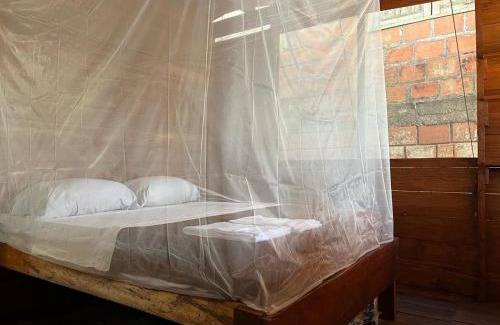 Nuqui House | Renacer