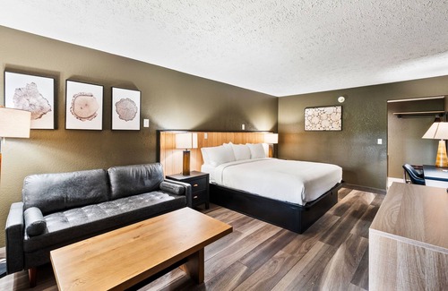 Townsend Hotel | Renovated 1 King Pet Friendly