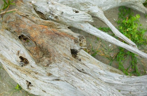 Kushima House | Rental Family A house near the warm sea of Miy / Kushima Miyazaki
