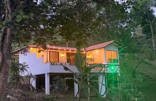 San Francisco Other | Reserva de Gomalu