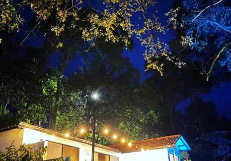 San Francisco Other | Reserva de Gomalu