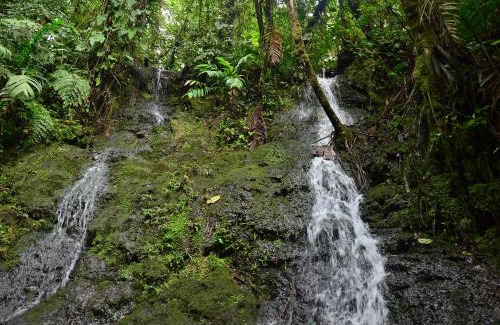 Filandia Villa | Reserva La Rivera