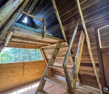 Tona Other | Reserva Natural La Floresta