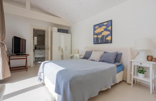 Chene-Bougeries Villa | Residence Mont-Blanc Poolhouse