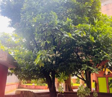 Le Plateau Apartment | Residence Roume Abidjan Plateau