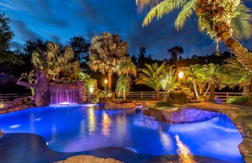 Greater Northdale House | Resort style pool with lazy river, grotto, and hot tub! Dog-Friendly!