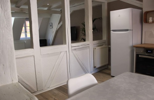 Old Town Apartment | Rest of the bear - charming cottage in the center of Colmar - 3 pers - 85m2