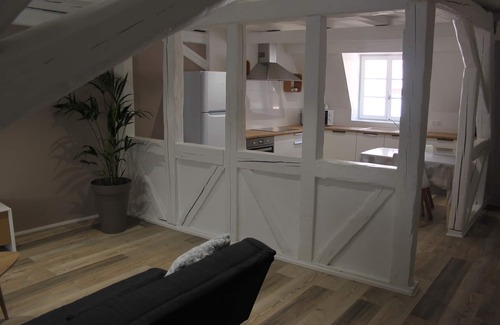 Old Town Apartment | Rest of the bear - charming cottage in the center of Colmar - 3 pers - 85m2