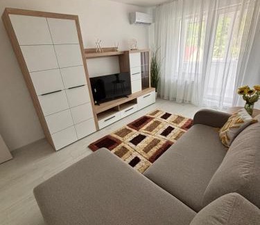 Tirgu Mures Apartment | RH Mures Stay