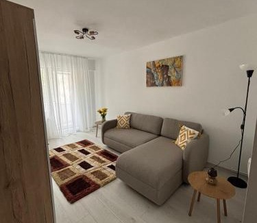 Tirgu Mures Apartment | RH Mures Stay