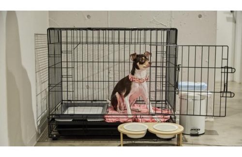 Arashiyama Hotel | River Side Arashiyama - Vacation STAY 86277v