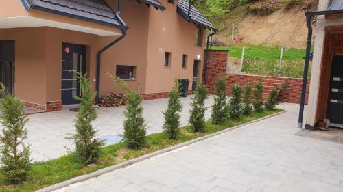 Pleshinë Villa | River View Villas