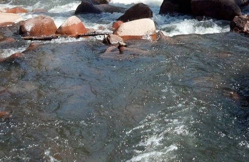 Lyons House | Riverfront Home With Hiking, Fishing And Magnificent Views Out Your Front Door!