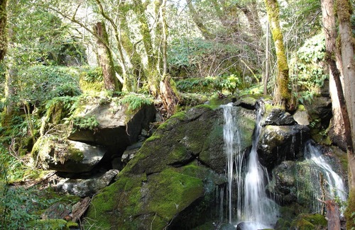 Orleans Cabin | Riverside cabin in the Klamath Mountains, (Restrictions apply, see description)