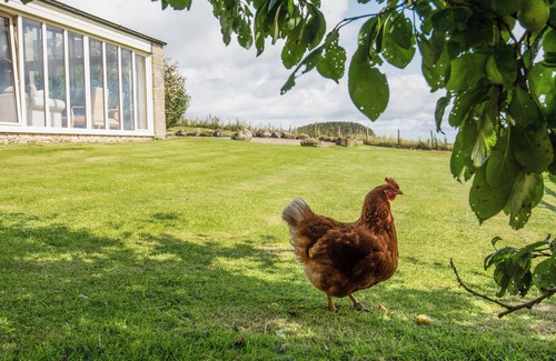 Haydon Bridge Cottage | Riverside Cottage at Grindon Farm