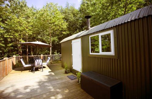 Talaton Other | Riverwood Farms Shepherds Hut