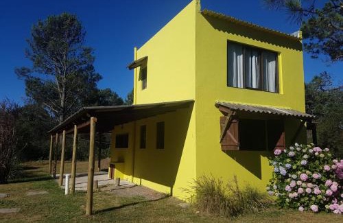 Oceania del Polonio House | Riyadh - en el bosque a metros de la playa