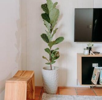 San Salvador Villa | RN Villa - San Benito