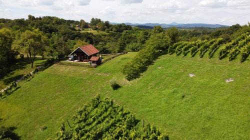 Tuhelj House | Robinzonski smještaj Green Peak