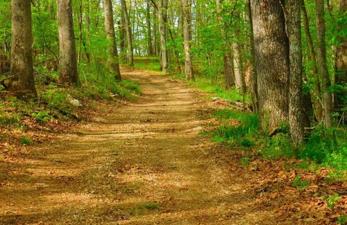 Dixon House | Rock Eddy Bluff Farm Cabins