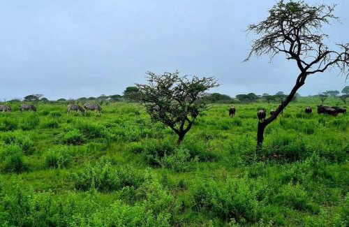 The Msunduzi Apartment | Rocky Valley Game Lodge