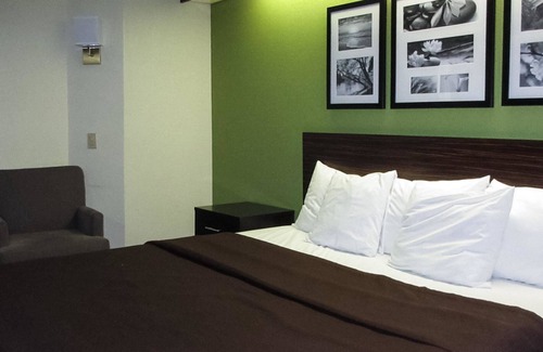 Albany Hotel | Rodeway Inn Albany South